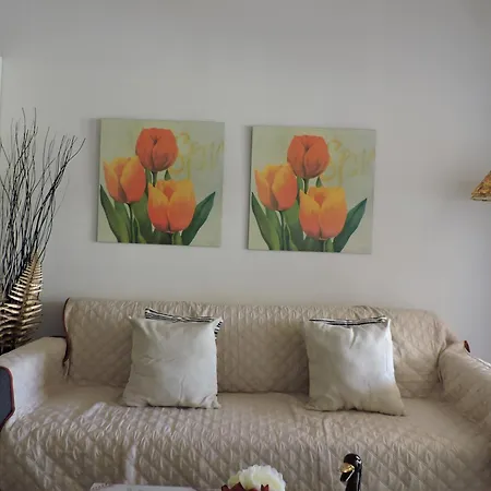Yucca Park Fanabe