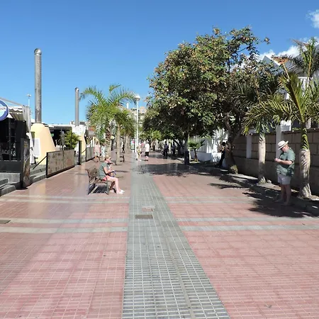 Yucca Park Fanabe أذيخي